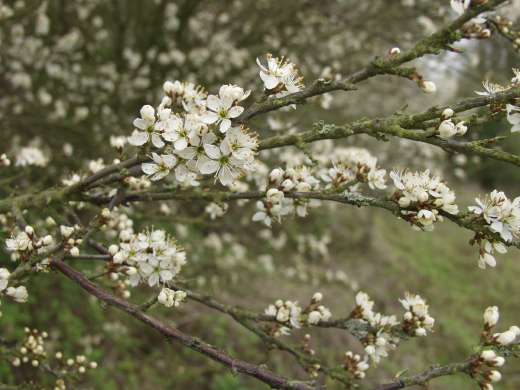 [image p4212848.jpg]