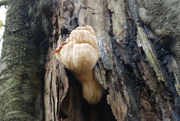 [image d863.jpg]