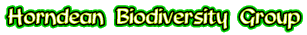 Horndean Biodiversity Group