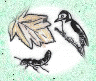 Horndean Biodiversity Group