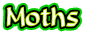 Moths