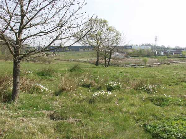 [image horndean.jpg]