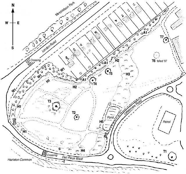 [image map.gif]