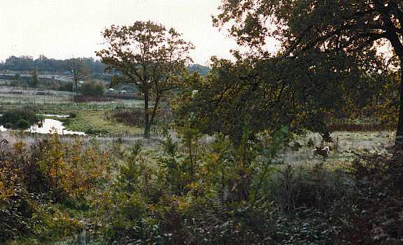 [image pic2.jpg]