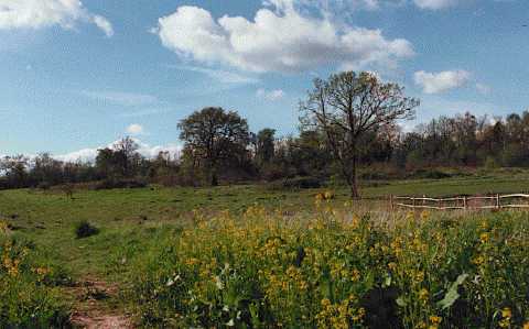 [image pic8.jpg]