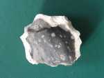 flint 4