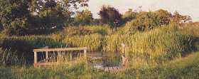 cathPond