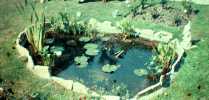 1st pond