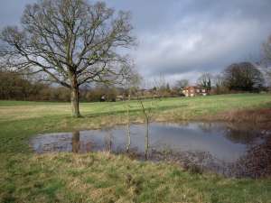 Pyle Farm Pond